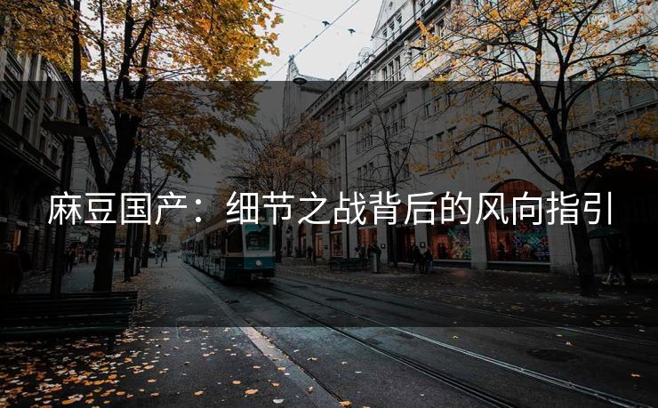 麻豆国产：细节之战背后的风向指引