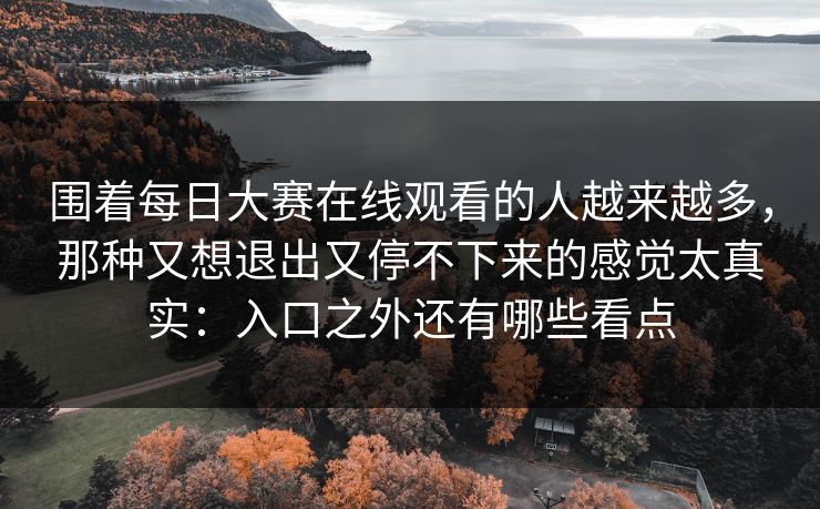 围着每日大赛在线观看的人越来越多，那种又想退出又停不下来的感觉太真实：入口之外还有哪些看点